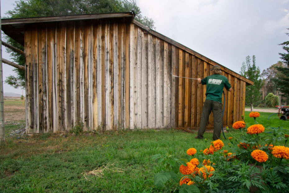 Wood Siding Restoration In-Progress