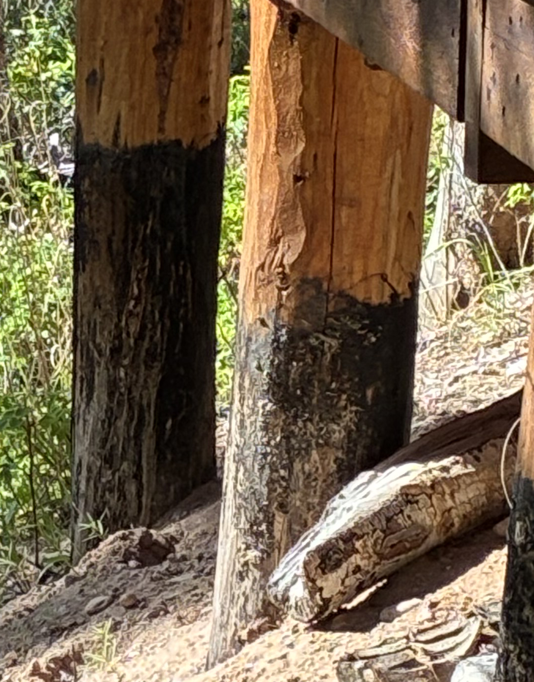 freeze-thaw-cycle-wood damage