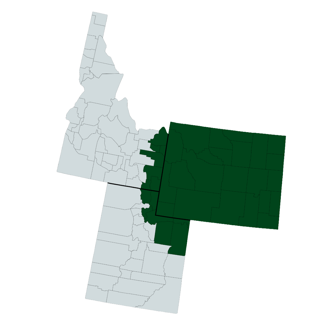 service-area-snu-wood-2