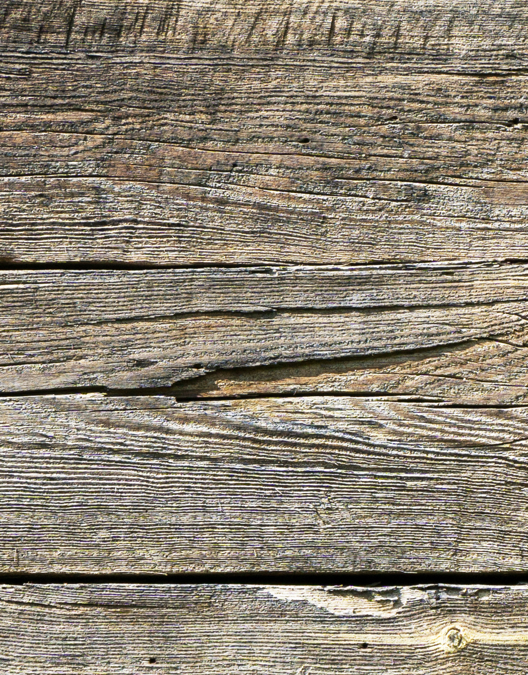 Raw natural wood texture. Gray wooden wall background. Rustic de