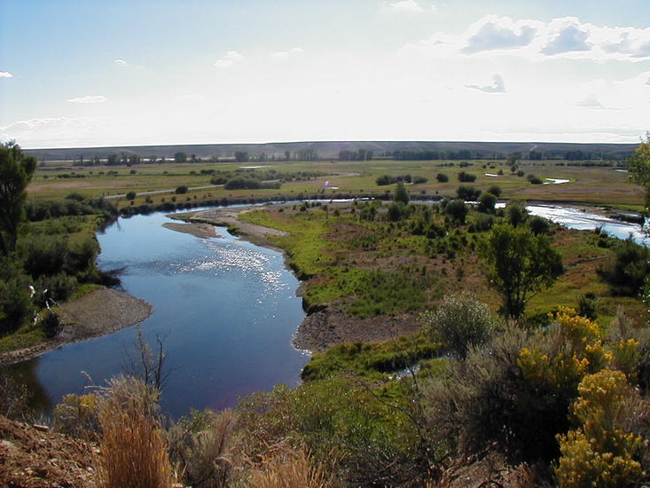 Bend in the New Fork River near Boulder.